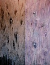 沈む時間・2003年個展作品
